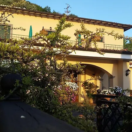 Degli Angeli فندق