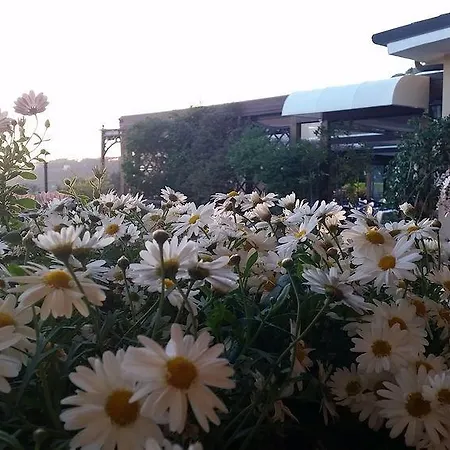 酒店 德洋杰利别墅酒店